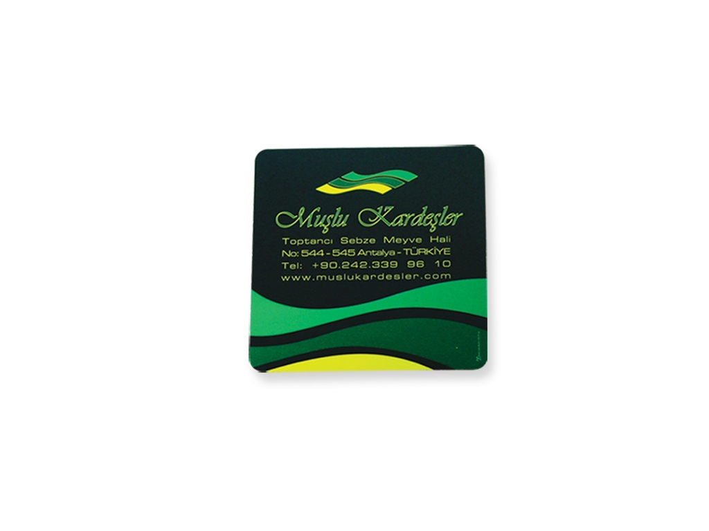 Eva Coaster